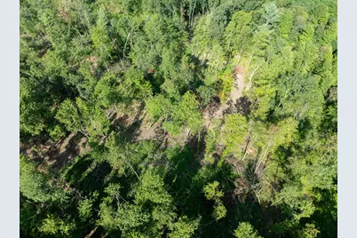 Vl Swenson Road, Holton, MI 49425 - Photo 38