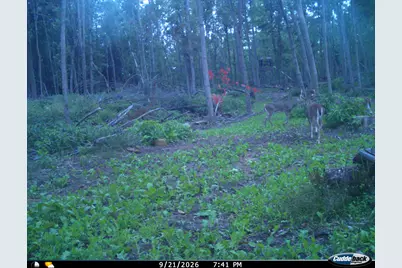 Vl Swenson Road, Holton, MI 49425 - Photo 48