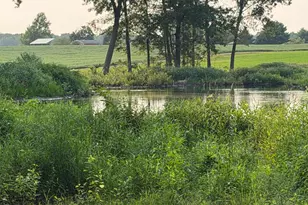 29733 94th Ave, Marcellus, MI 49067 - Photo 38