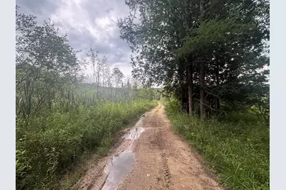 V/L E20A Lambdin Road, East Jordan, MI 49727 - Photo 20