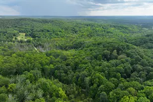 V/L E20A Lambdin Rd, East Jordan, MI 49727 - Photo 1