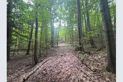V/L E20A Lambdin Road, East Jordan, MI 49727 - Photo 24