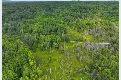 V/L E20A Lambdin Road, East Jordan, MI 49727 - Photo 8