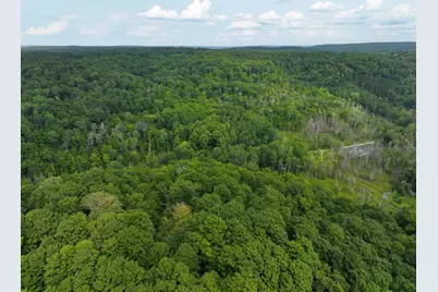 V/L E20A Lambdin Road, East Jordan, MI 49727 - Photo 4