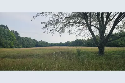 473 Block Road, Coldwater, MI 49036 - Photo 2