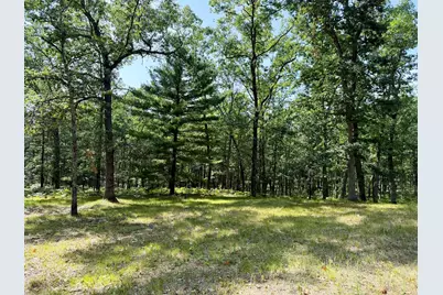 10619 N River Dr Ranch, Irons, MI 49644 - Photo 42