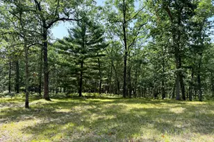 10619 N River Dr Ranch, Irons, MI 49644 - Photo 42