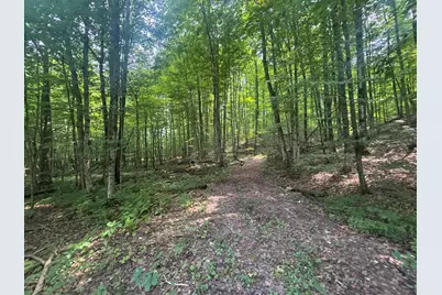 V/L W20A Lambdin Road, East Jordan, MI 49727 - Photo 26