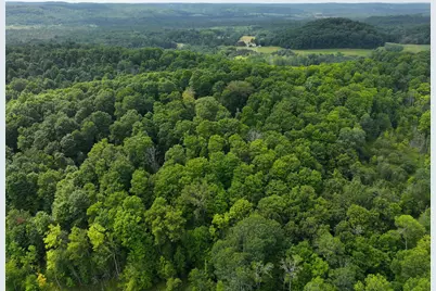 V/L W20A Lambdin Road, East Jordan, MI 49727 - Photo 6