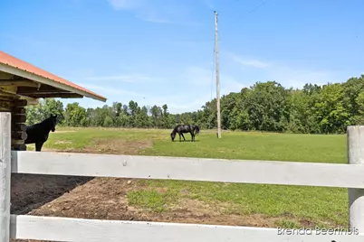 11301 108th Street SE, Freeport, MI 49325 - Photo 74