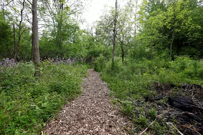 5801 N Territorial Road, Dexter, MI 48130 - Photo 44