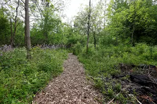 5801 N Territorial Rd, Dexter, MI 48130 - Photo 44