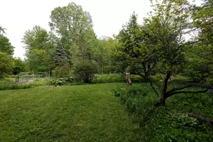 5801 N Territorial Rd, Dexter, MI 48130 - Photo 50