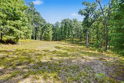 11023 S Roby Lake Drive, Baldwin, MI 49304 - Photo 56