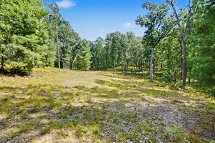 11023 S Roby Lake Dr, Baldwin, MI 49304 - Photo 56