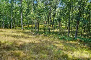 11023 S Roby Lake Dr, Baldwin, MI 49304 - Photo 46