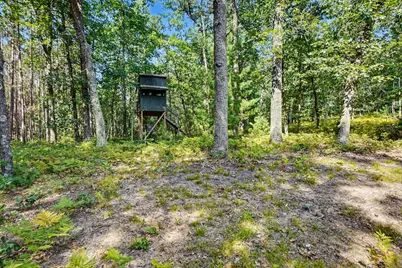 11023 S Roby Lake Drive, Baldwin, MI 49304 - Photo 48