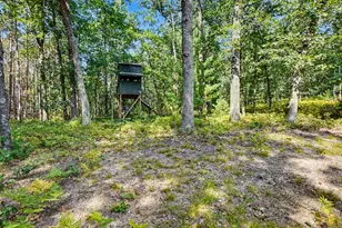 11023 S Roby Lake Dr, Baldwin, MI 49304 - Photo 48