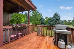 25731 S Dr South, Homer, MI 49245 - Photo 24