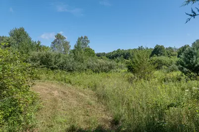 7340 Culbert Road, Osseo, MI 49266 - Photo 10