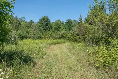 7340 Culbert Road, Osseo, MI 49266 - Photo 8