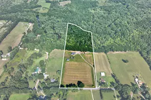 11503 Onondaga Rd, Onondaga, MI 49264 - Photo 80