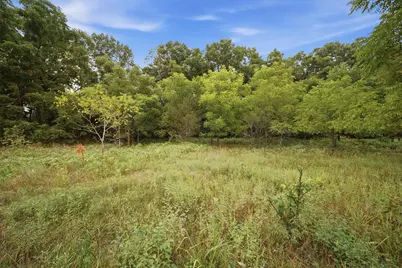 0 Snowy Pine Drive, Charlotte, MI 48813 - Photo 4