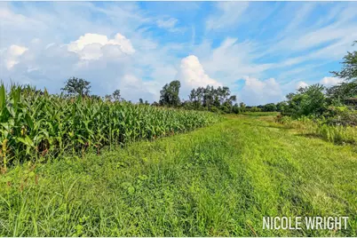 V/L 116th Avenue, Otsego, MI 49078 - Photo 14