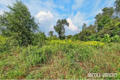 V/L 116th Avenue, Otsego, MI 49078 - Photo 12