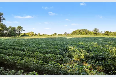 3418 M-37, Middleville, MI 49333 - Photo 10