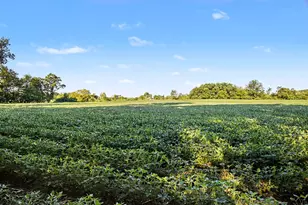 3418 M-37, Middleville, MI 49333 - Photo 10