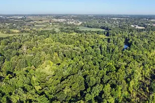 3418 M-37, Middleville, MI 49333 - Photo 22