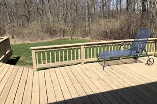 954 Rose Dr, Ann Arbor, MI 48103 - Photo 34