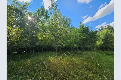 490 Tiffany Street, Brooklyn, MI 49230 - Photo 24