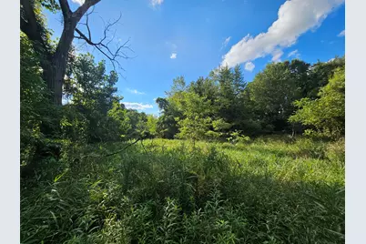 490 Tiffany Street, Brooklyn, MI 49230 - Photo 28
