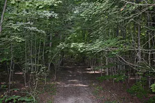 7516 Covert Rd NE, Mancelona, MI 49659 - Photo 8
