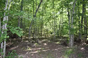 7516 Covert Rd NE, Mancelona, MI 49659 - Photo 6