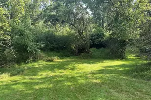 1122 W Green St, Hastings, MI 49058 - Photo 36