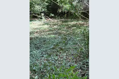 Longbridge West Lot 9, Pentwater, MI 49449 - Photo 2
