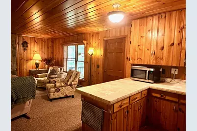 6608 Sylva Beach Road, Caseville, MI 48725 - Photo 10