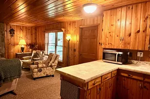 6608 Sylva Beach Rd, Caseville, MI 48725 - Photo 10