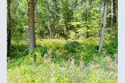 8835 N Bingham Avenue, Bitely, MI 49309 - Photo 1