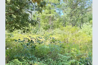 2227 W Oakwood Boulevard, Bitely, MI 49309 - Photo 8