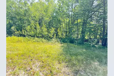 Vl 10th Avenue, Bitely, MI 49309 - Photo 4