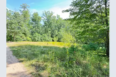 Vl 10th Avenue, Bitely, MI 49309 - Photo 6
