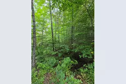 610 W Millerton Road, Scottville, MI 49454 - Photo 6