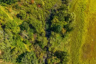 13676 US-12, Brooklyn, MI 49230 - Photo 20
