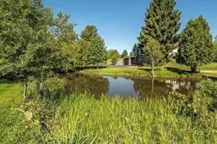 123 S Freer Rd, Chelsea, MI 48118 - Photo 76