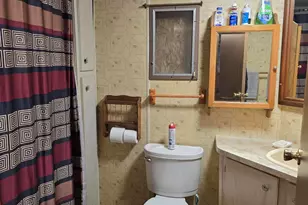 11933 S Wedgewood Ave, Baldwin, MI 49304 - Photo 8