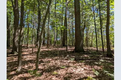 Ottawa Lane #Lot 50, Pentwater, MI 49449 - Photo 2
